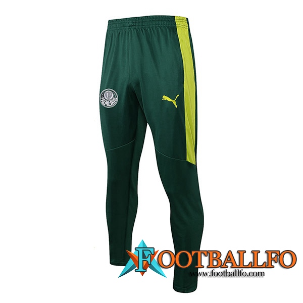 Pantalon Entrenamiento Palmeiras Verde 2021/2022
