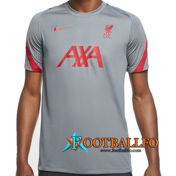 Camiseta Entrenamiento FC Liverpool Gris 2020/2021