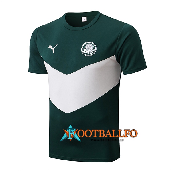 Camiseta Entrenamiento Palmeiras Verde/Blanco 2022/2023