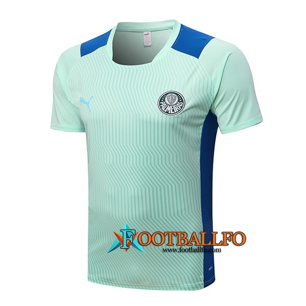 Camiseta Entrenamiento Palmeiras Verde 2022/2023