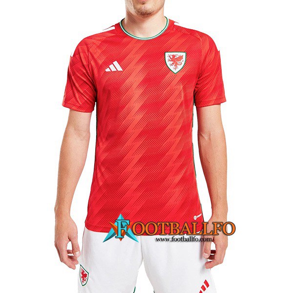 Nueva Camisetas De Futbol Gales Segunda Copa Del Mundo 2022