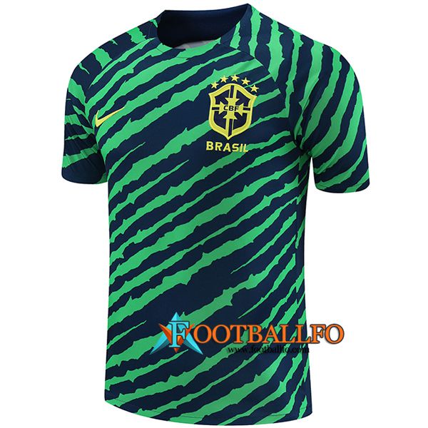 Camiseta Entrenamiento Brasil Verde/Azul 2022/2023