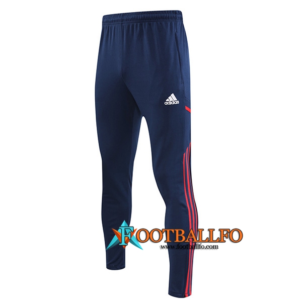 Arsenal Pantalon Entrenamiento Azul marino 2022/2023