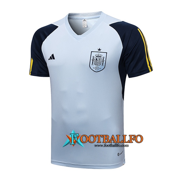 Camiseta Entrenamiento España Azul Claro 2023/2023
