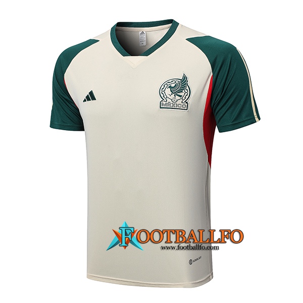 Camiseta Entrenamiento México Beige 2023/2023