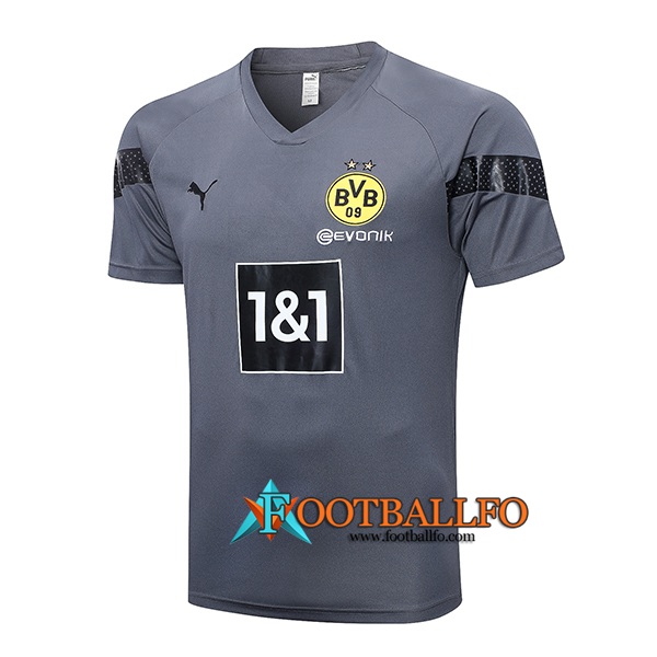 Camiseta Entrenamiento Dortmund Gris 2023/2023