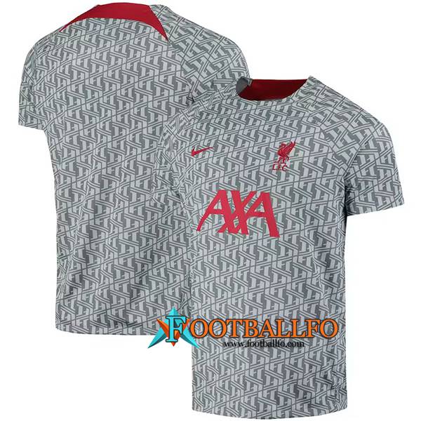 Camiseta Entrenamiento FC Liverpool Gris 2023/2023