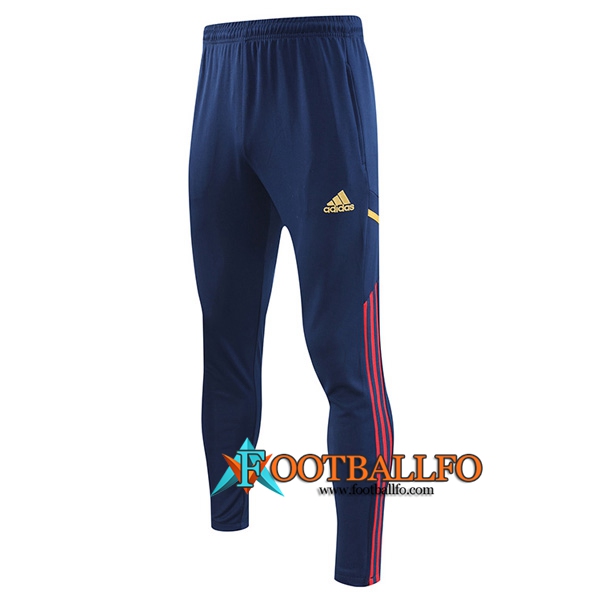 Pantalon Entrenamiento Ajax Azul marino 2023/2023