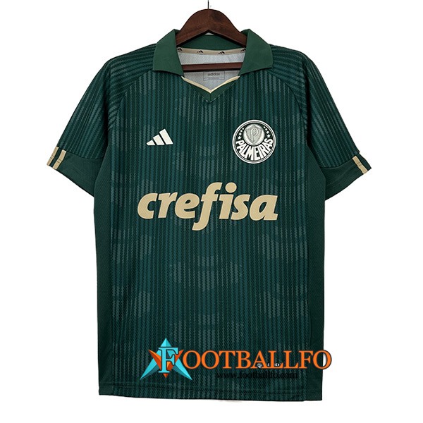 Camisetas De Futbol Palmeiras Special Edition Verde 2023/2024