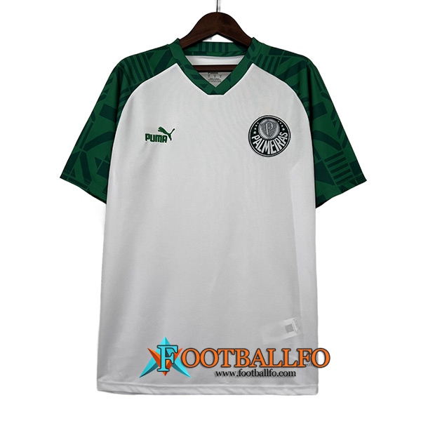 Camisetas De Futbol Palmeiras Special Edition Blanco 2023/2024