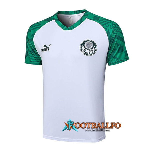 Camiseta Polo Palmeiras Blanco 2023/2024