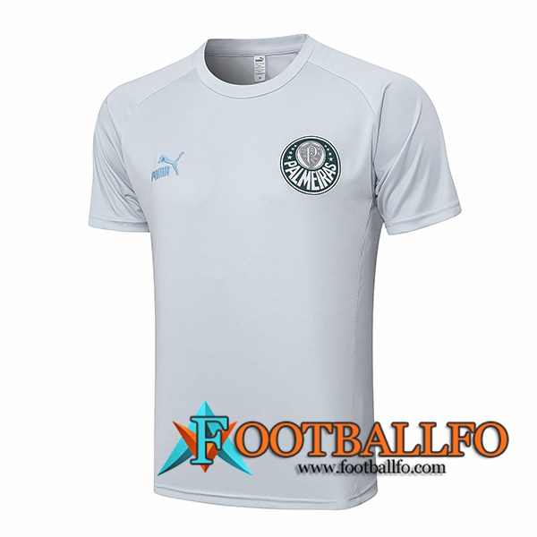 Camiseta Entrenamiento Palmeiras Gris Claro 2023/2024