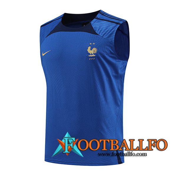 Chalecos De Futbol Francia Azul 2023/2024