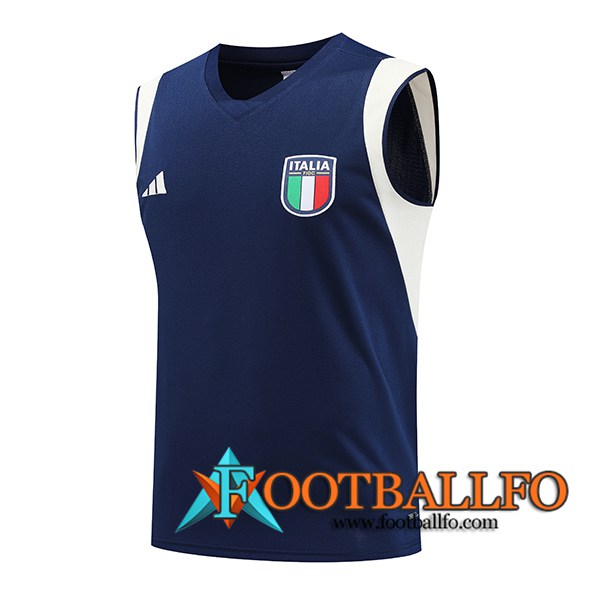 Chalecos De Futbol Italia Azul marino 2023/2024