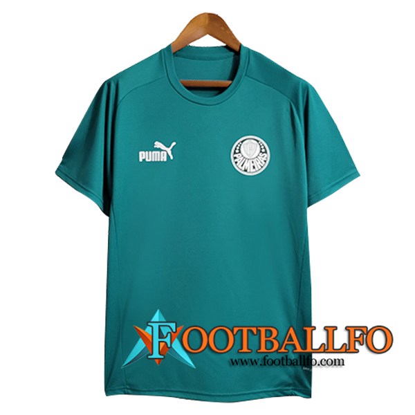 Camiseta Entrenamiento Palmeiras Verde 2023/2024 -02