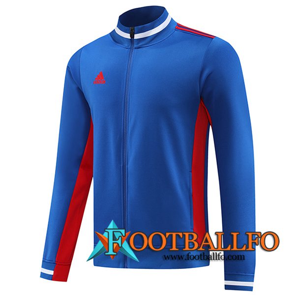 Chaquetas Futbol Adidas Azul 2023/2024