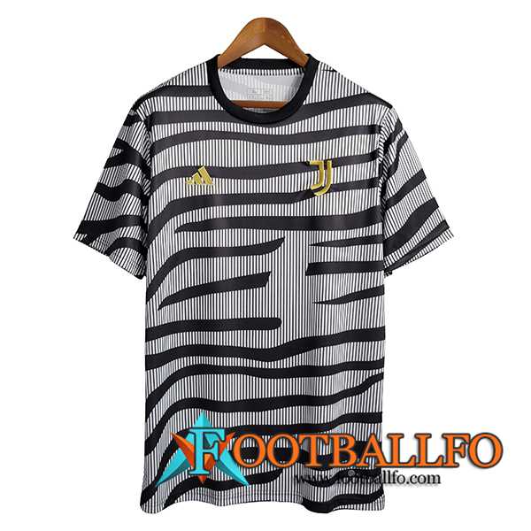 Camiseta Entrenamiento Juventus Negro/Gris 2023/2024