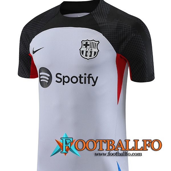 Camiseta Entrenamiento FC Barcelona Gris 2023/2024