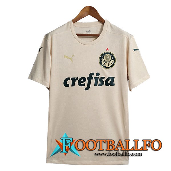 Camisetas De Futbol Palmeiras Retro Segunda 2021/2022