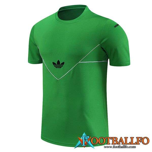 Camiseta Entrenamiento Adidas Verde 2023/2024