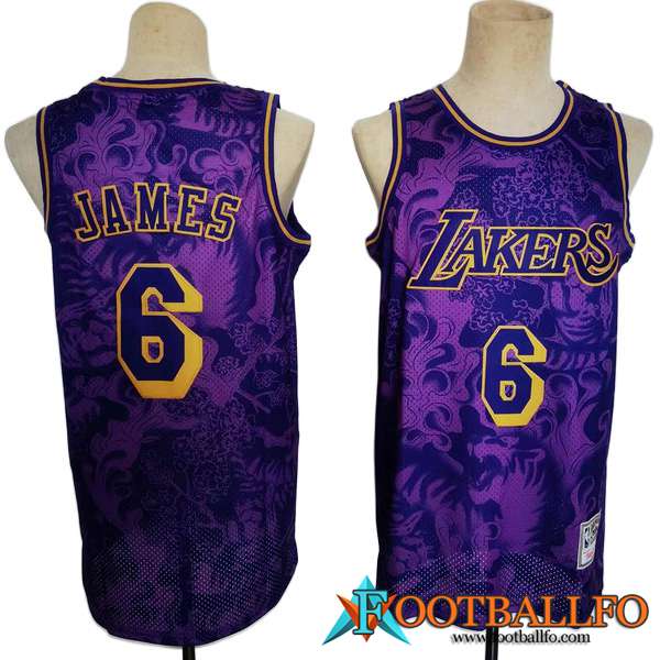 Camisetas Los Angeles Lakers (JAMES #6) 2023/24 Violeta -02