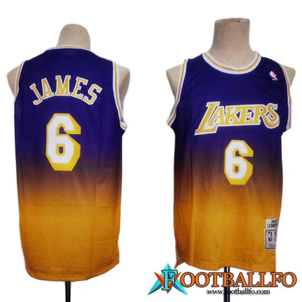 Camisetas Los Angeles Lakers (JAMES #6) 2023/24 Violeta/Amarillo