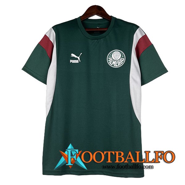 Camisetas De Futbol Palmeiras Verde 2023/2024