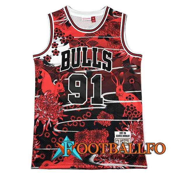 Camisetas Chicago Bulls (RODMAN #91) 2023/24 Rojo -03