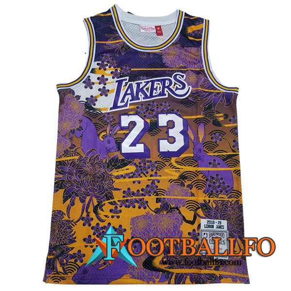 Camisetas Los Angeles Lakers (JAMES #23) 2023/24 Amarillo/Violeta