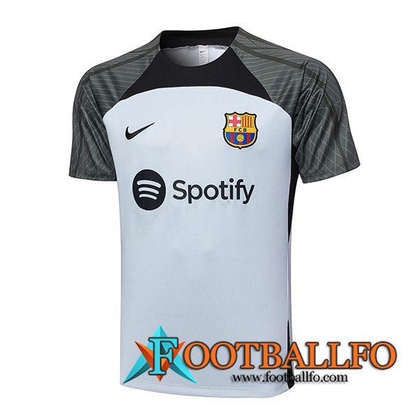 Camiseta Entrenamiento FC Barcelona Gris Claro 2023/2024
