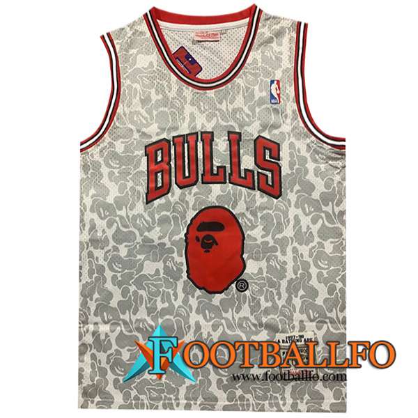 Camisetas De Futbol Chicago Bulls (BAPE #93) 2023/24 Gris/Rojo