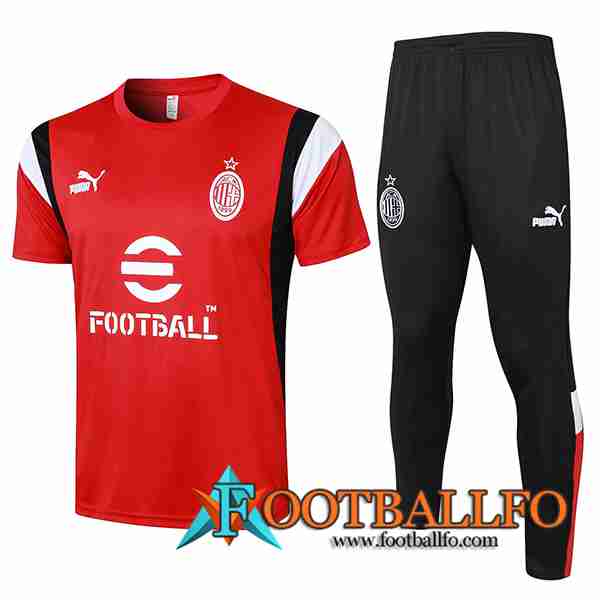 Camiseta Polo AC Milan Rojo 2023/2024 -02
