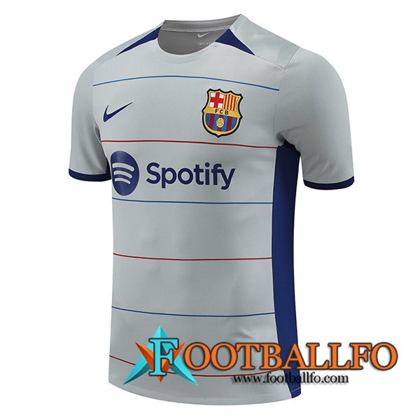 Camiseta Entrenamiento FC Barcelona Gris 2023/2024 -03