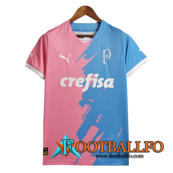 Camiseta Entrenamiento Palmeiras Azul/Rosa 2023/2024