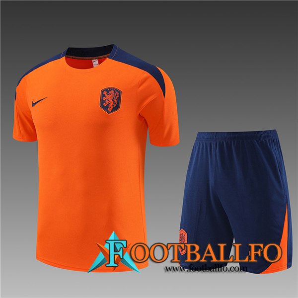 Camiseta Entrenamiento + Cortos Países Bajos Ninos Naranja 2023/2024