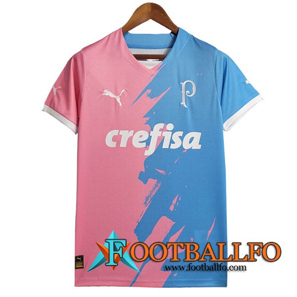 Camisetas De Futbol Palmeiras Commemorative Edition 2023/2024