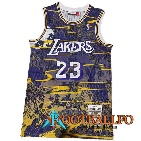 Camisetas Los Angeles Lakers (JAMES #23) 2023/24 Violeta/Amarillo