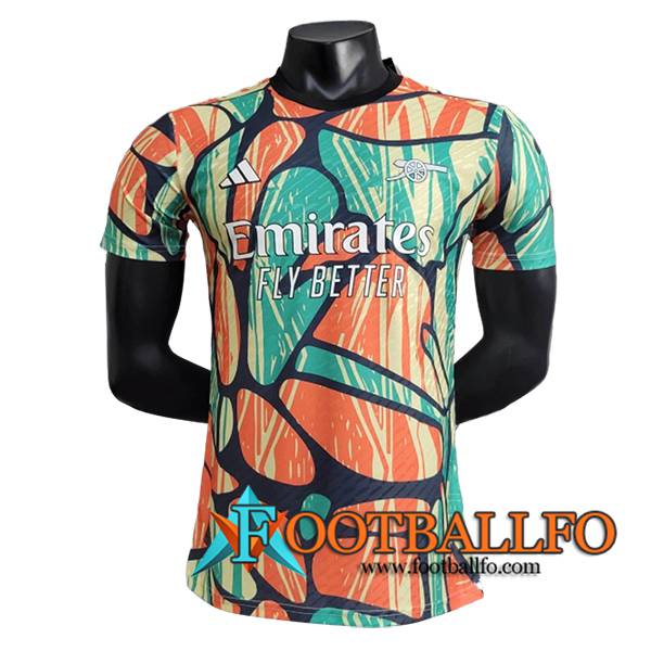 Camiseta Entrenamiento Arsenal Verde/Naranja/Azul/Amarillo 2024/2025