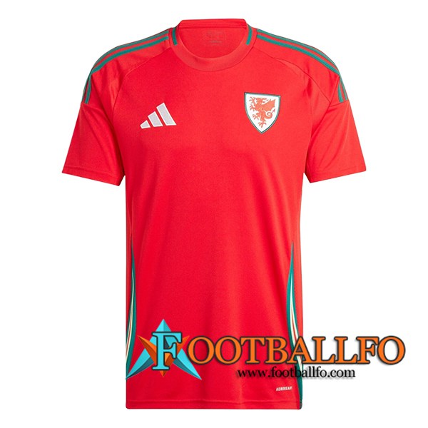 Camiseta Equipo Nacional Gales Primera 2024/2025