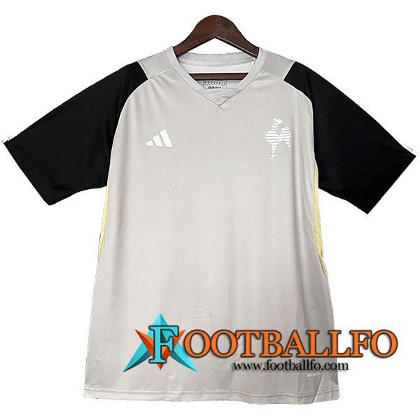 Camiseta Entrenamiento Atletico Mineiro Gris/Negro 2024/2025