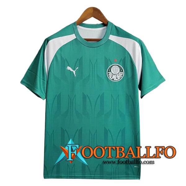 Camiseta Entrenamiento Palmeiras Verde/Blanco 2024/2025