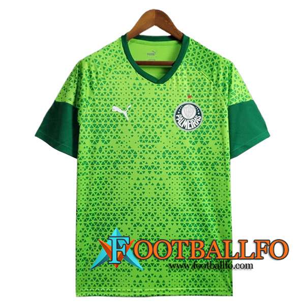 Camiseta Entrenamiento Palmeiras Verde 2024/2025