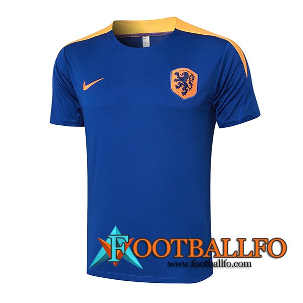 Camiseta Entrenamiento Países Bajos Azul/Amarillo 2024/2025