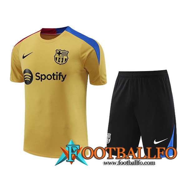 Camiseta Entrenamiento FC Barcelona Amarillo/Azul/Rojo 2024/2025