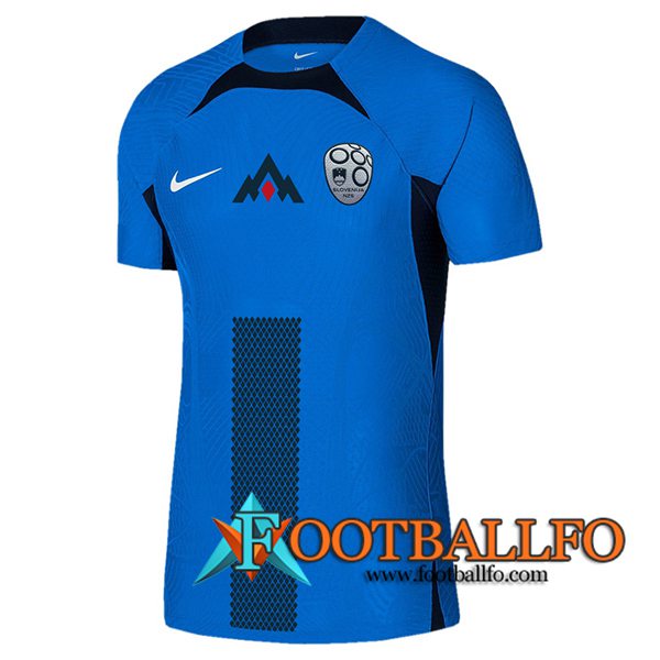 Camiseta Equipo Nacional Eslovenia Segunda 2024/2025