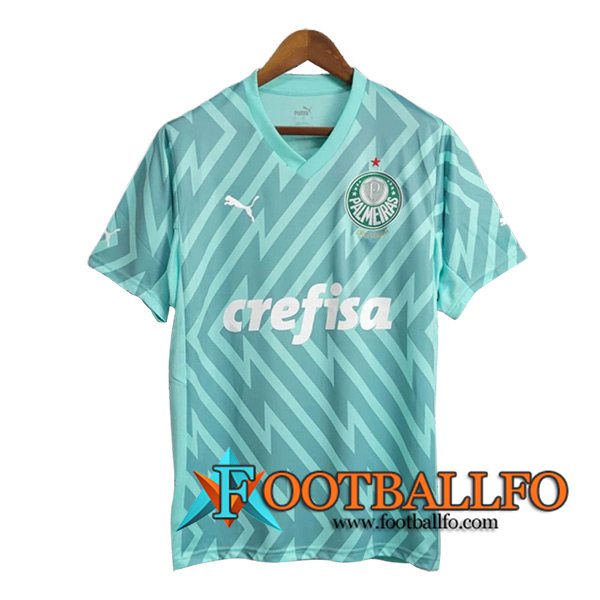 Camisetas De Futbol Palmeiras Portero Verde 2024/2025