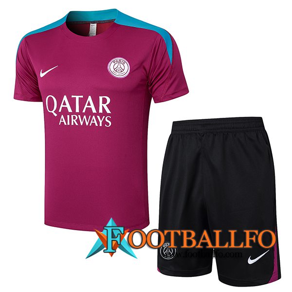 Camiseta Entrenamiento PSG Violeta/Azul 2024/2025