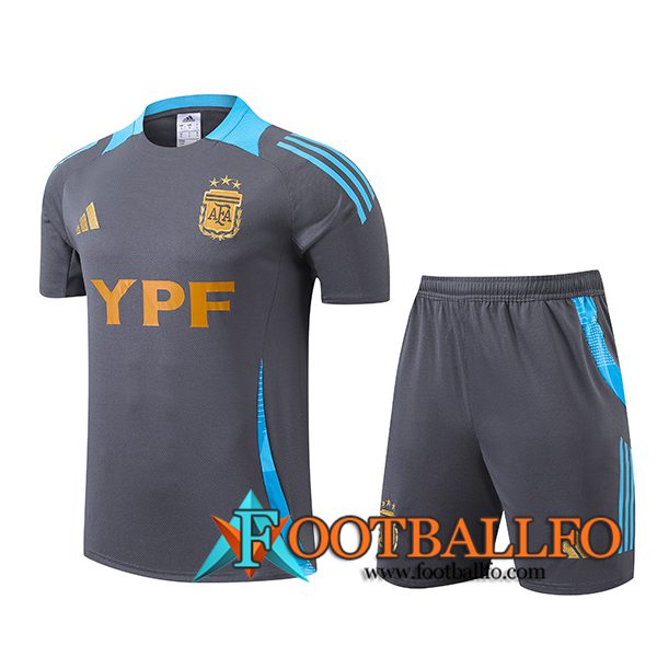 Camiseta Entrenamiento Argentina Gris/Azul 2024/2025