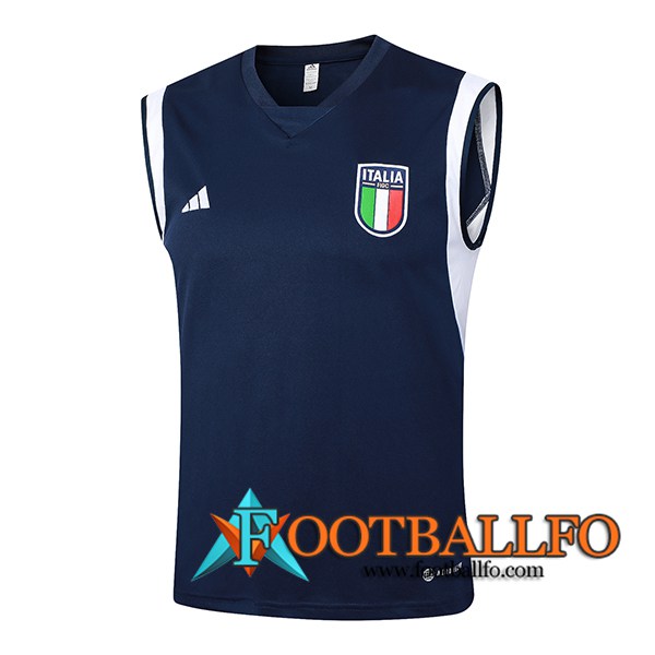 Chalecos De Futbol Italia Azul Oscuro 2024/2025