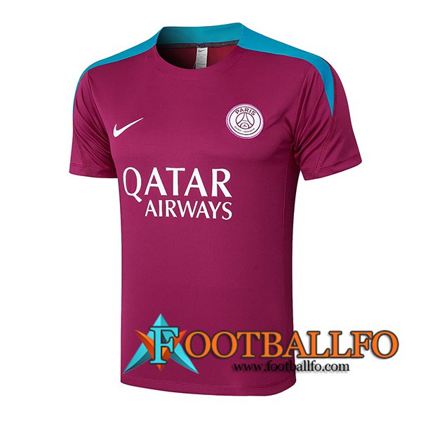 Camiseta Entrenamiento PSG Violeta/Azul 2024/2025